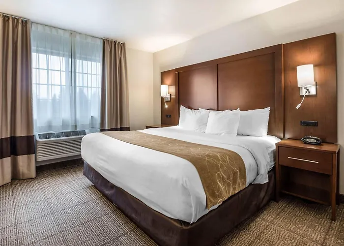 Comfort Suites At Par 4 Resort